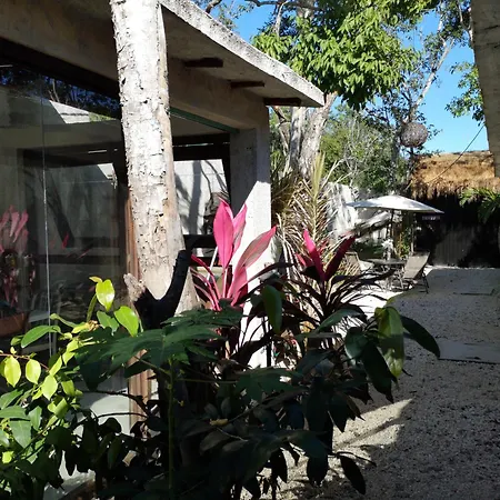 Awa Eco Retreat Tulum